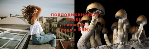 дурь Бронницы