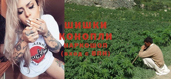 дурь Бронницы