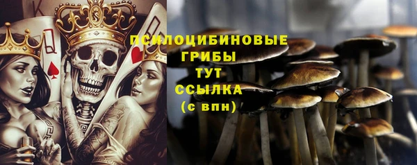 дурь Бронницы