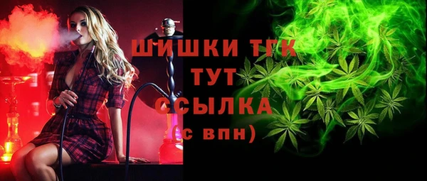 дурь Бронницы