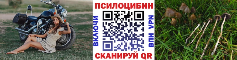 Галлюциногенные грибы мухоморы  магазин    Октябрьский 